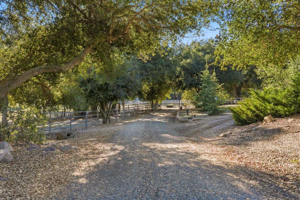 Horse Ranch in Ortega Mountian - photo 14