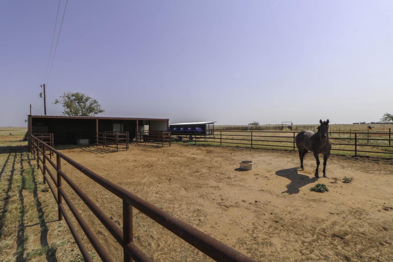 Prime Texas Ranch with Arena, Home, & Acreage - photo 23