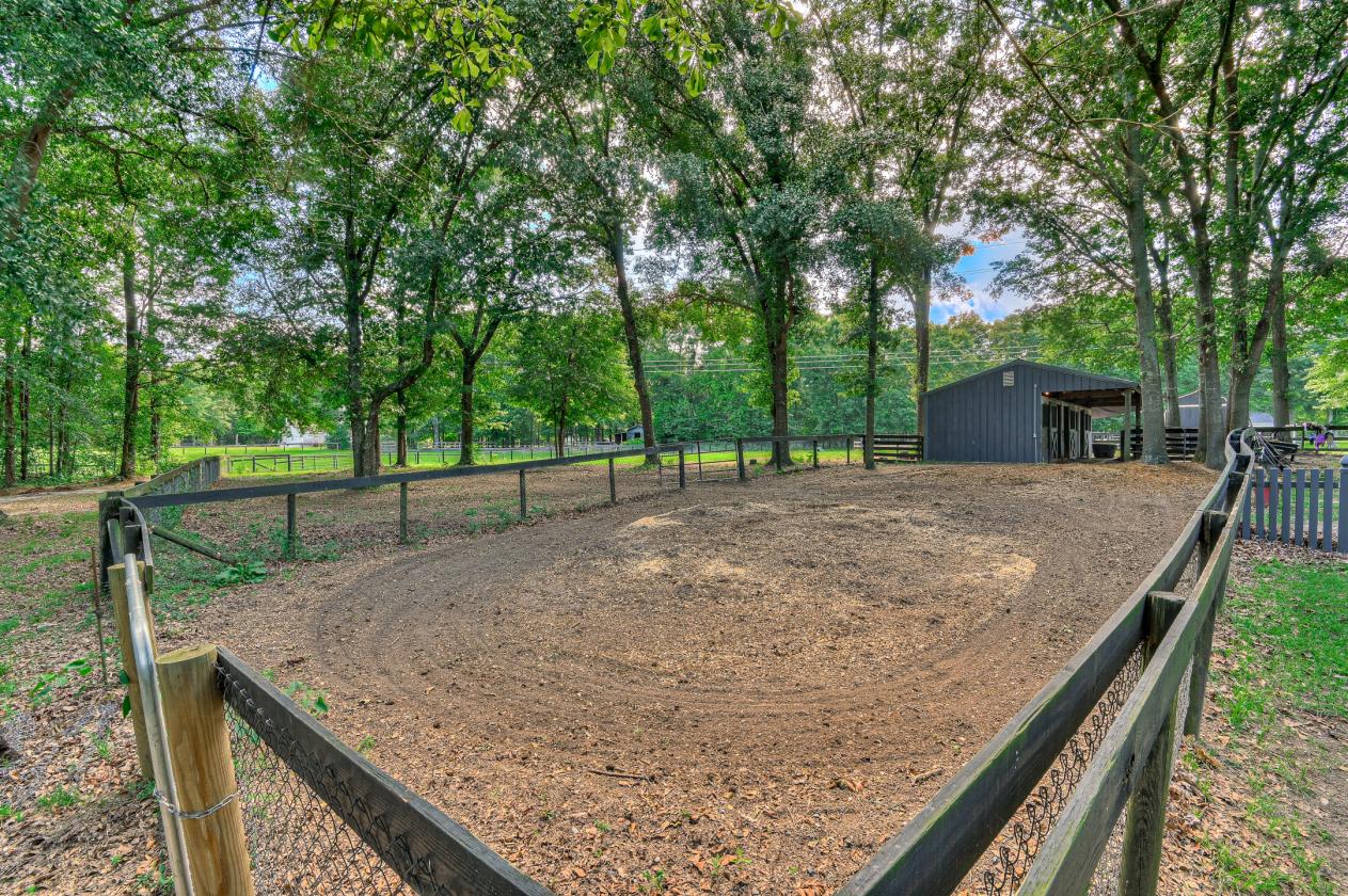 Horse-Ready & Waterfront - photo 3