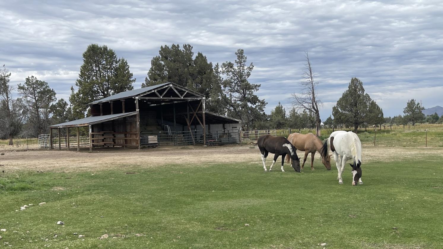 29 Acres | 24.34 Irrigated | Horse-Ready - photo 11