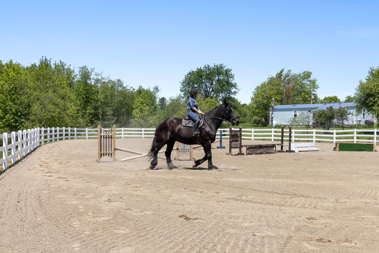 Equestrian Center with compound Living - photo 30