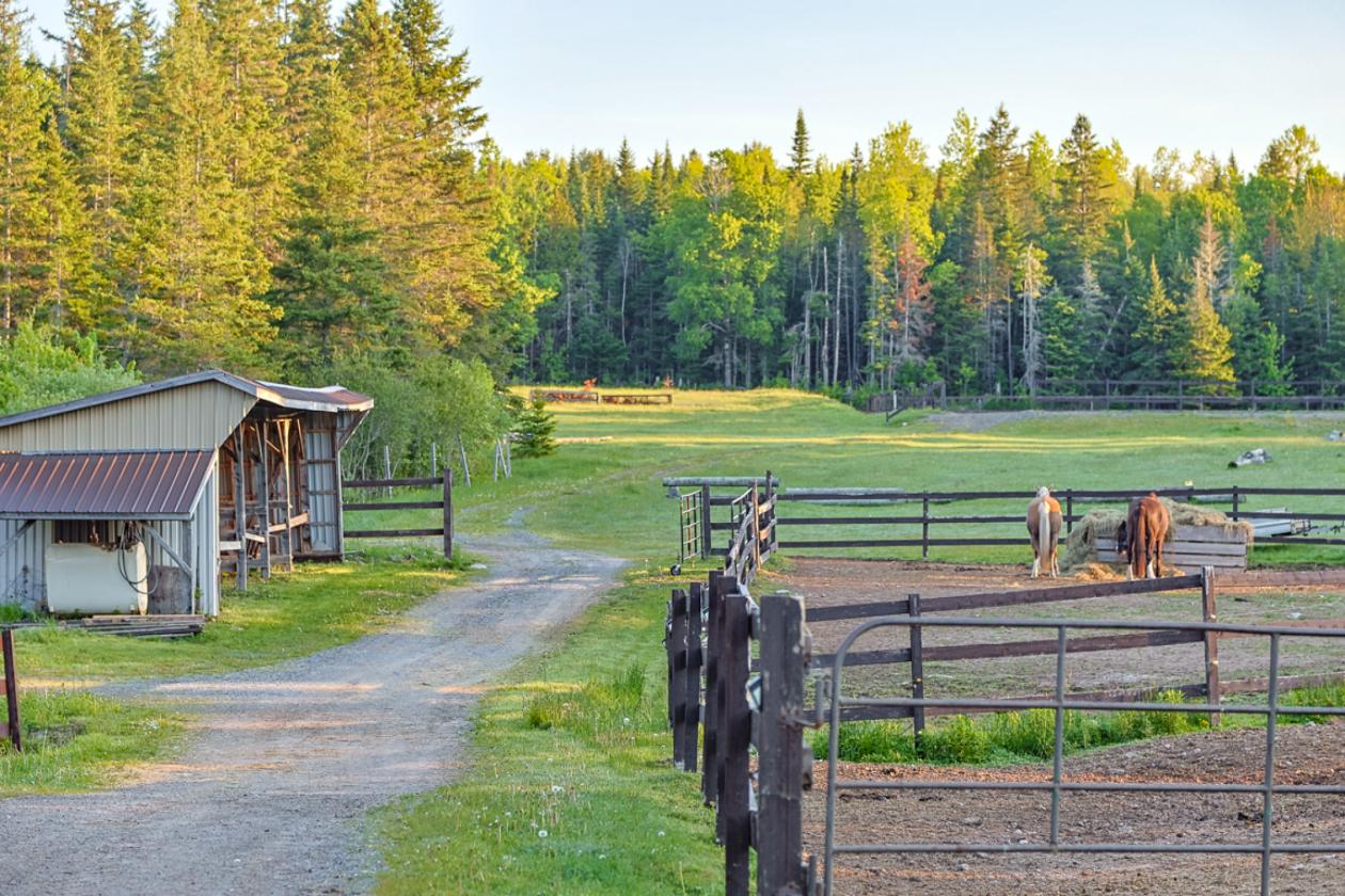 40 Acre Equestrian Property with Indoor Arena - photo 6
