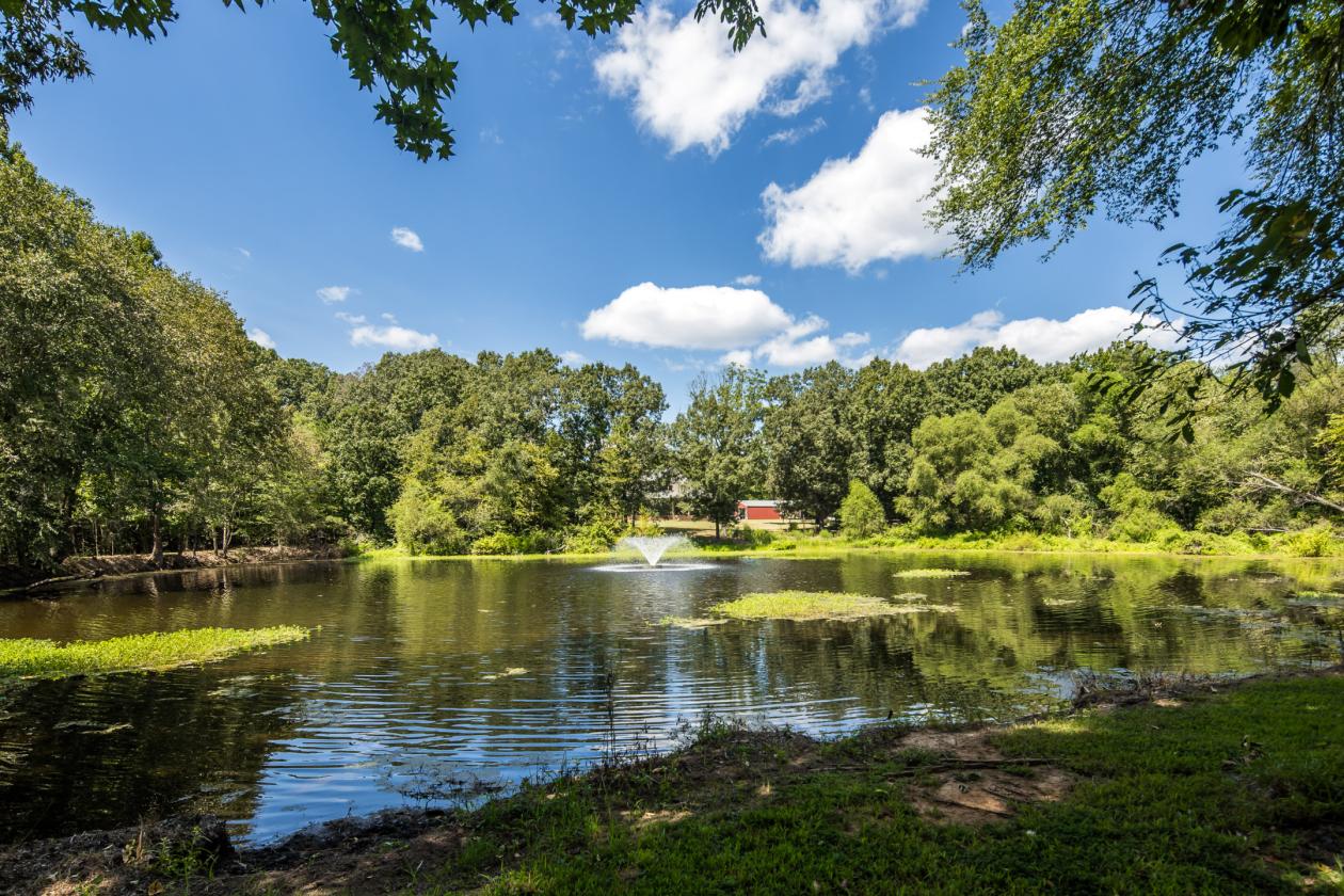 Manicured Equestrian Estate on 65 Acres - photo 7