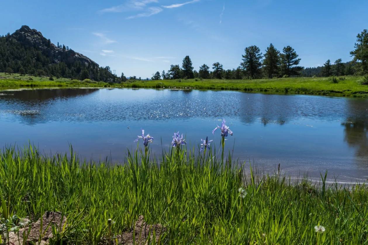 Lots in luxury, gated, mountain community - photo 30