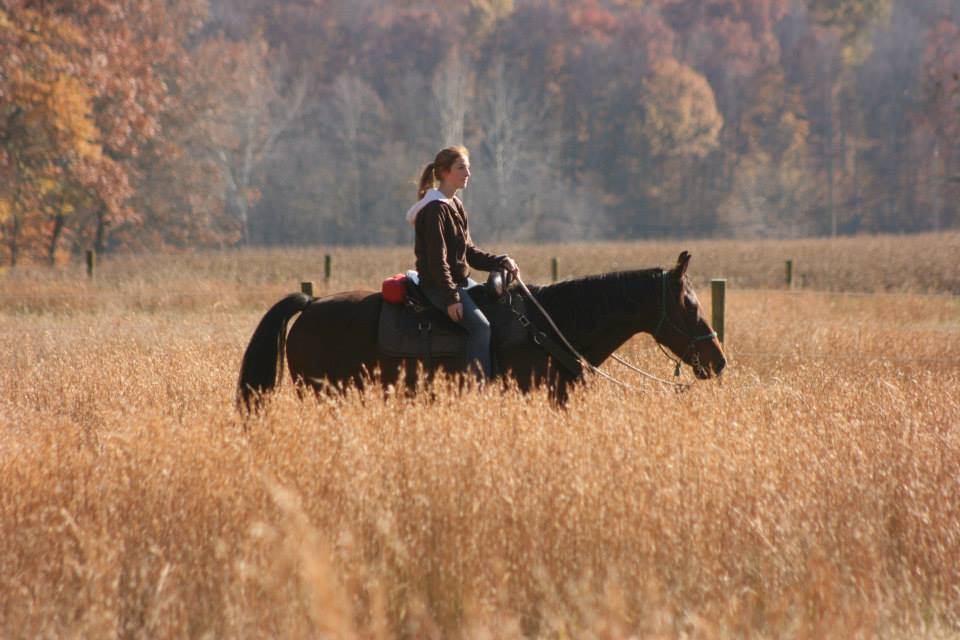 Price reduction!! Adjoining Brown County State Park 20 acre horse