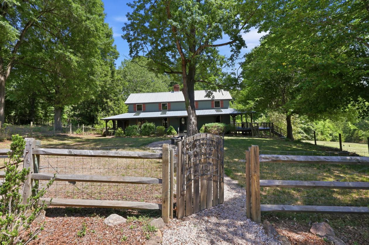 40+ acre Farm in Randolph County - photo 5