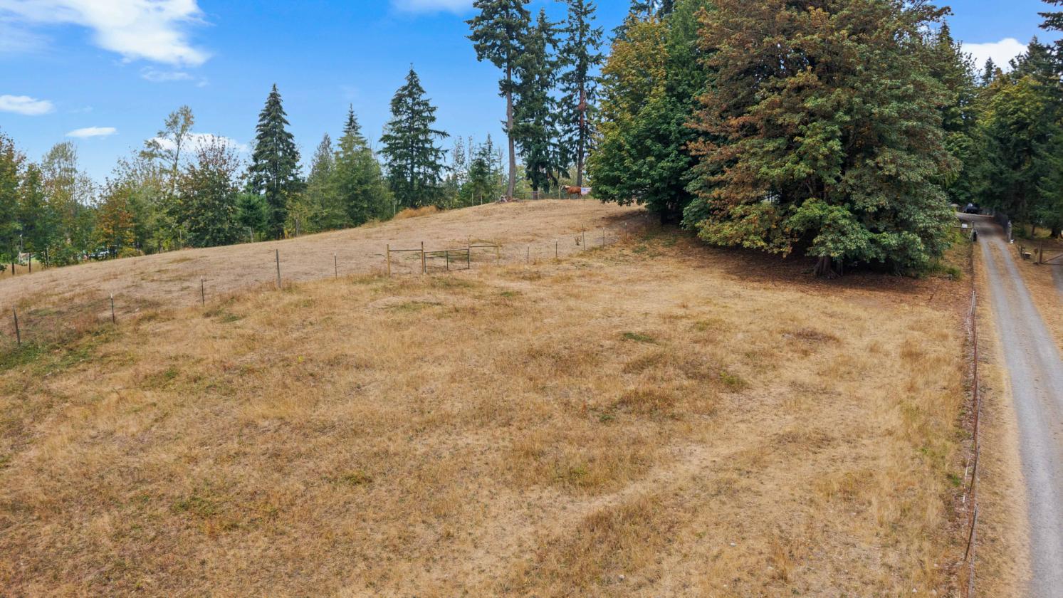 Saddle up & find your slice of Country Paradise!! - photo 3