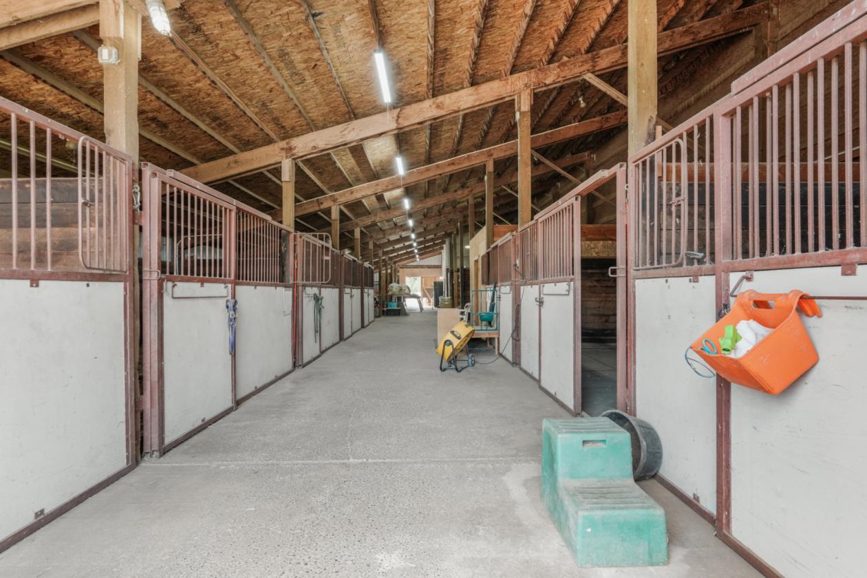 The Ultimate Horse Property with Indoor Arena - photo 26