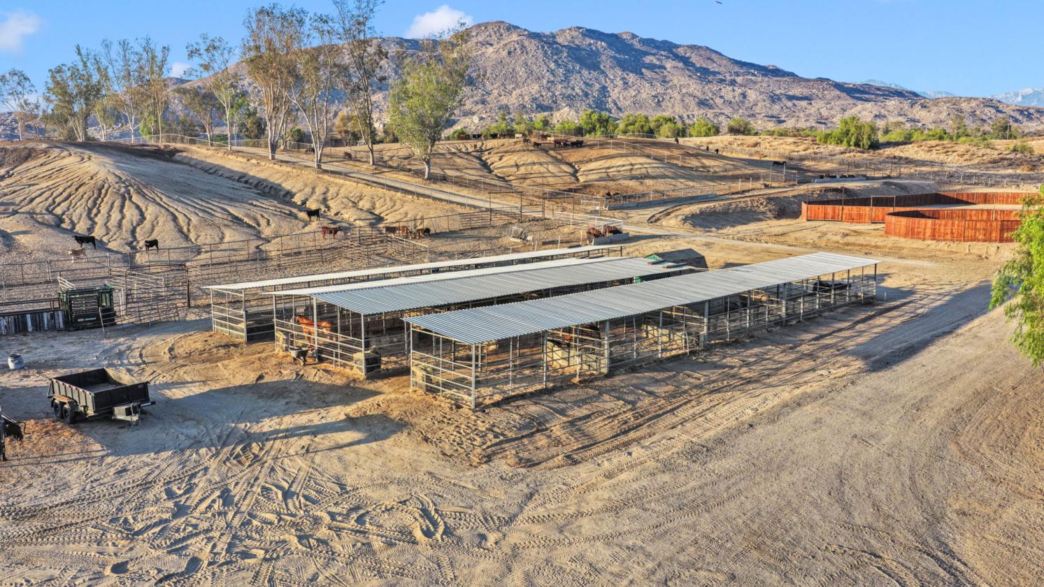 Equestrian Estate Near Wine Country - photo 22