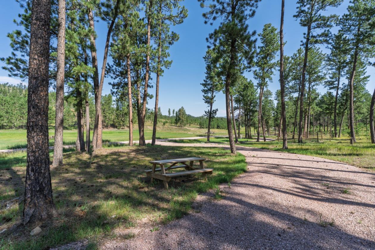 Glen Erin Horse Camp - photo 10