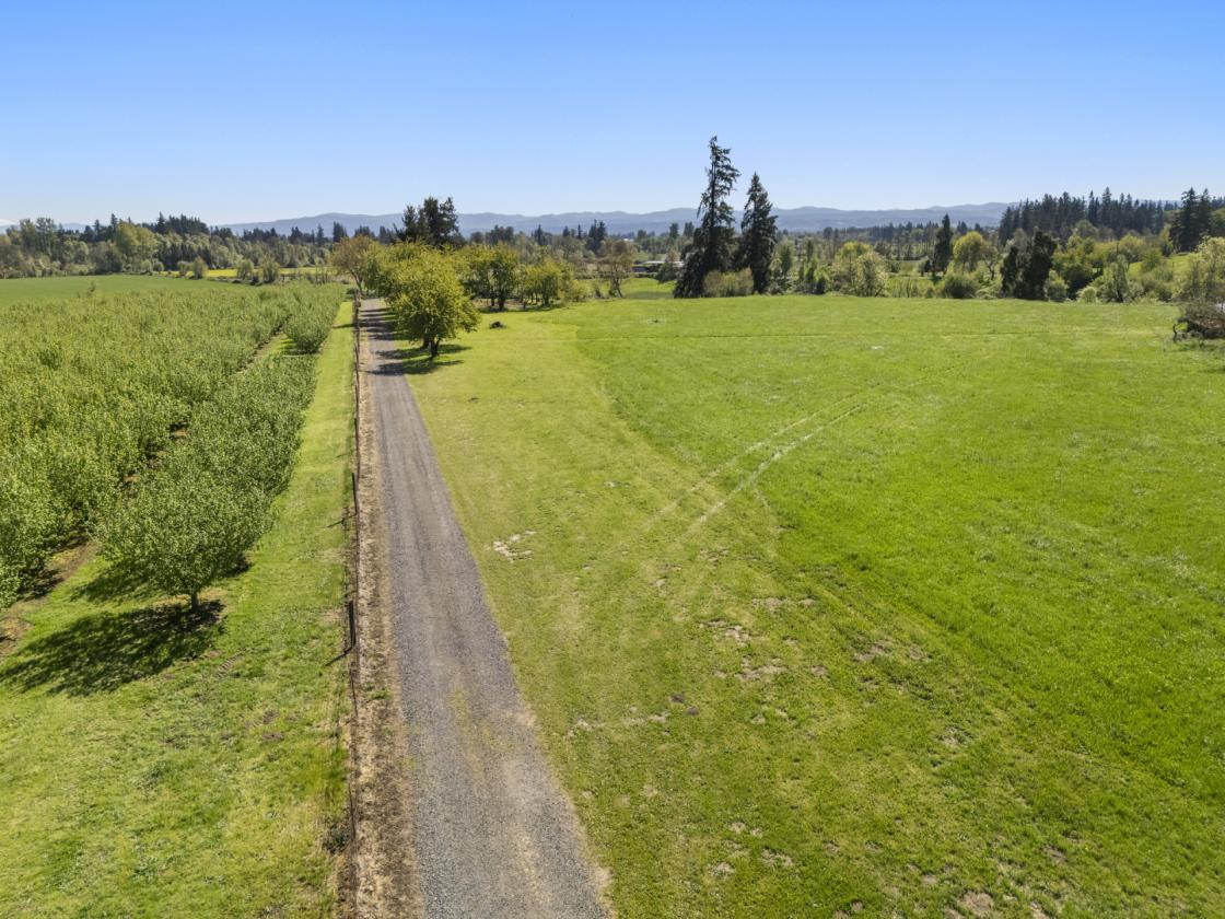 10 Acre Horse Property w/ Two Dwellings - photo 5