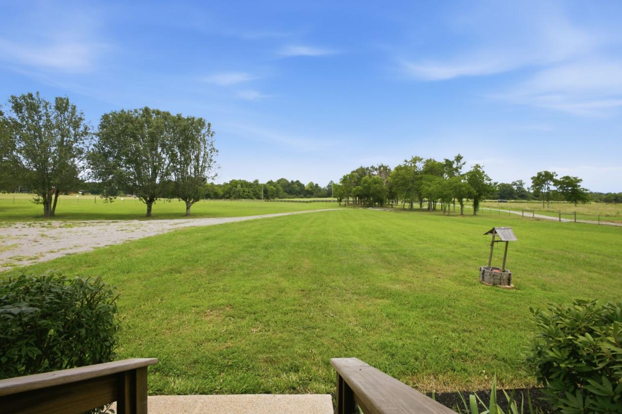 Peaceful 10 Acres/Renovated Home - photo 4