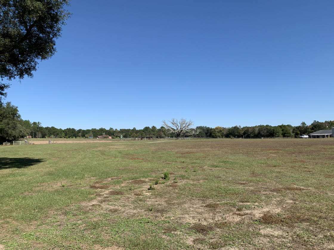 16.5 Acre Northwest Florida Home Site with Accessory Buildings