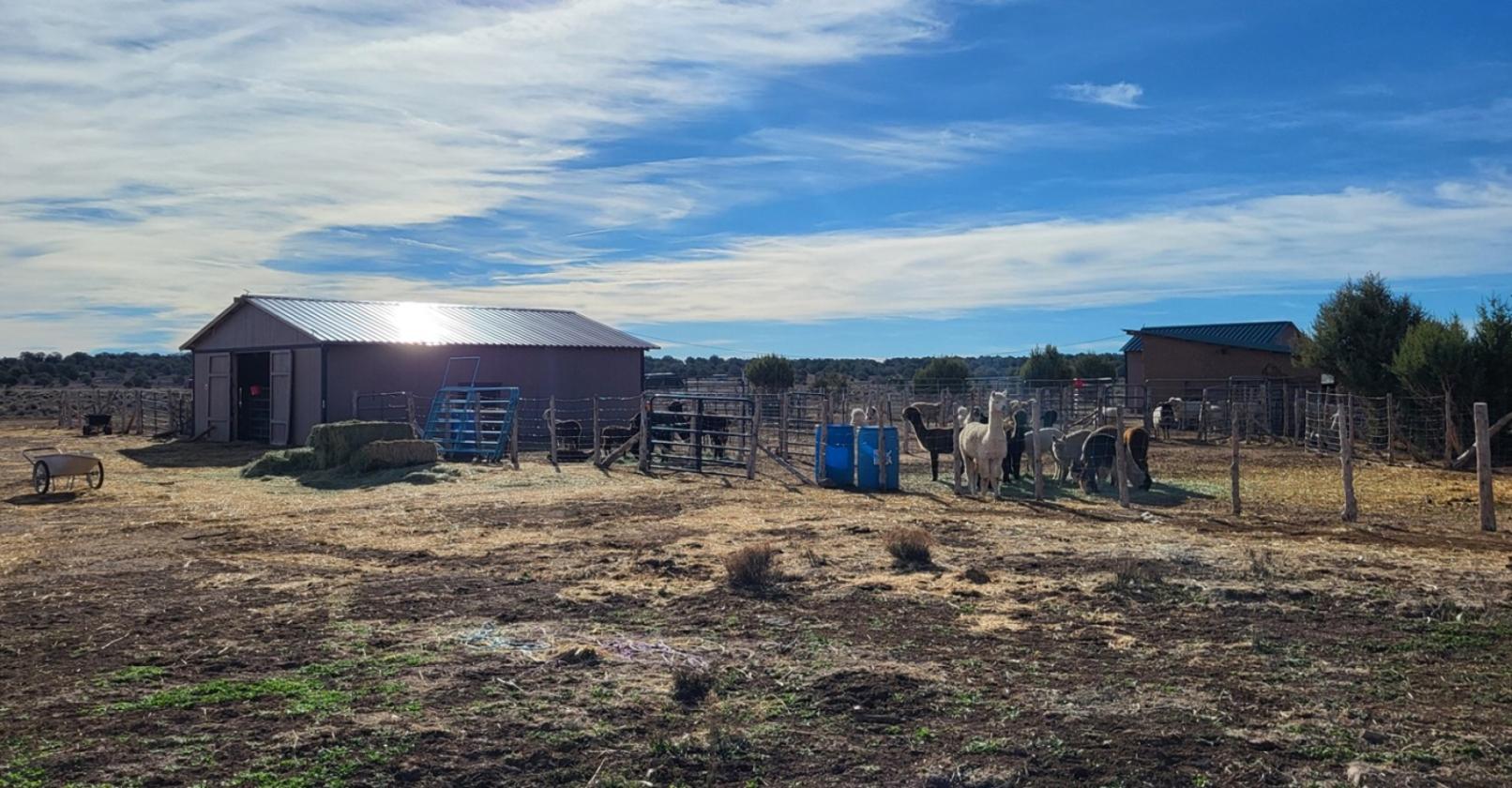 Ranch Ready - Northern AZ - 47.2 Acres - Fenced - photo 11