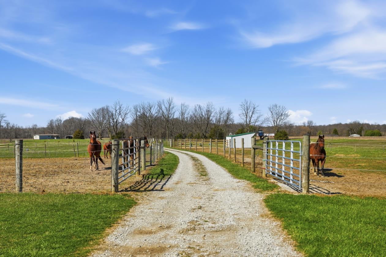 Professional Equine Training Facility & 47.5 Acres - photo 27