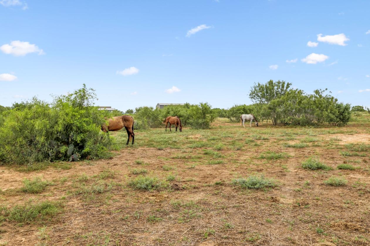 17.43 acres near Saint Hedwig - photo 8