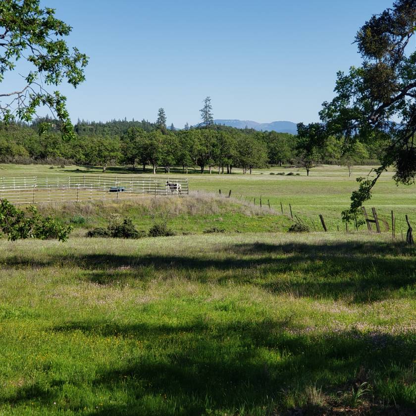 Wagon Wheel Ranch Open Spacious Land with Amazing Views! Sams Valley