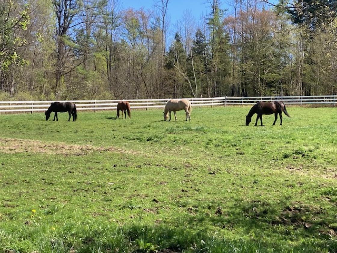 Charming 1914 farmhouse on a private horse farm - photo 30