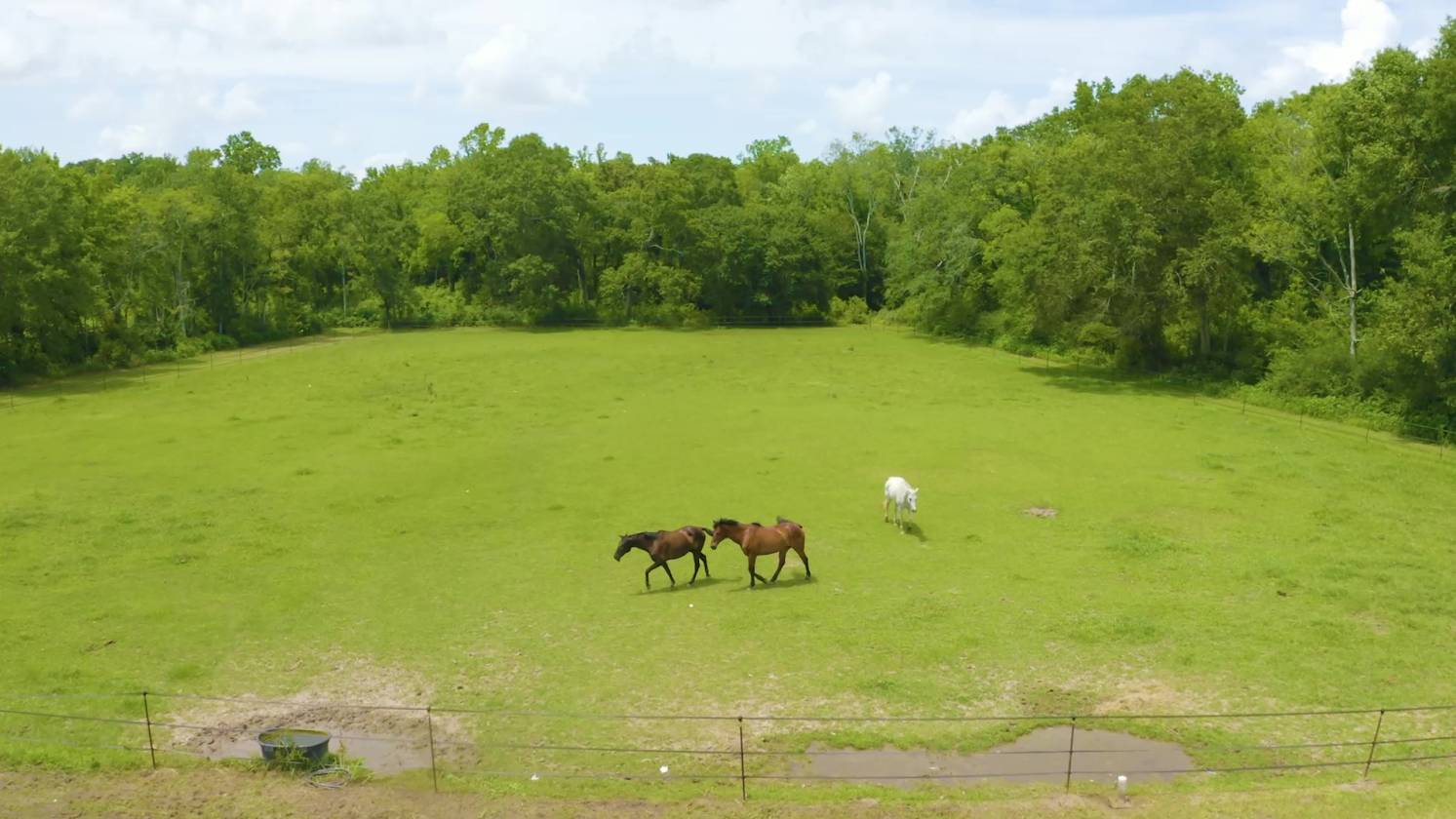 MAGNIFICENT HORSE FARM & DREAM HOME, RAYNE LA Rayne, Acadia Parish