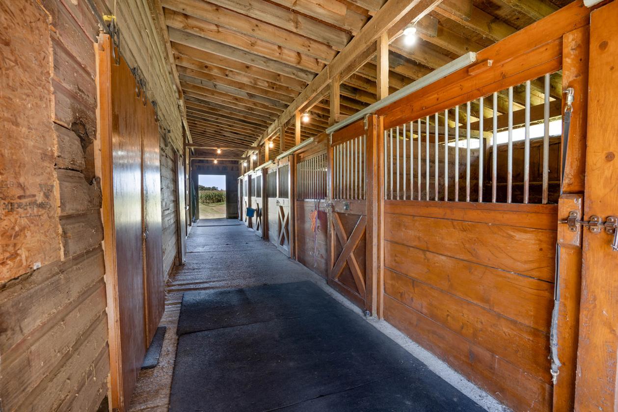 Equine Boarding and Training Facility - photo 12