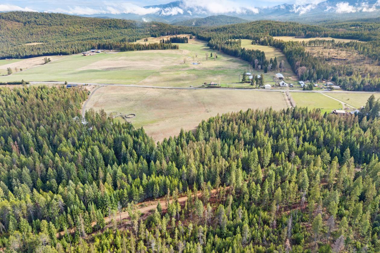 Level 20.65 acres w/Creek, Pasture & Woods - photo 9