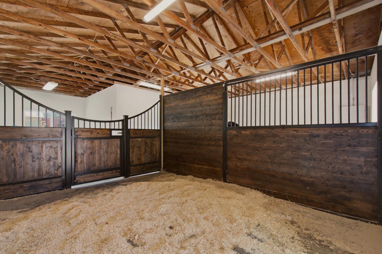Rare Horse Property with Vineyard Views! - photo 24