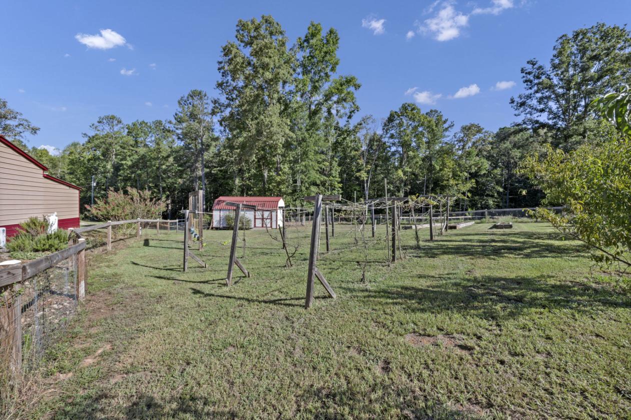 Horse Farm - photo 14
