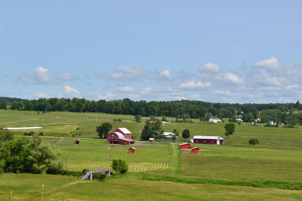 STUNNING HORSE FARM & FARM HOUSE WITH A VIEW... Canajoharie