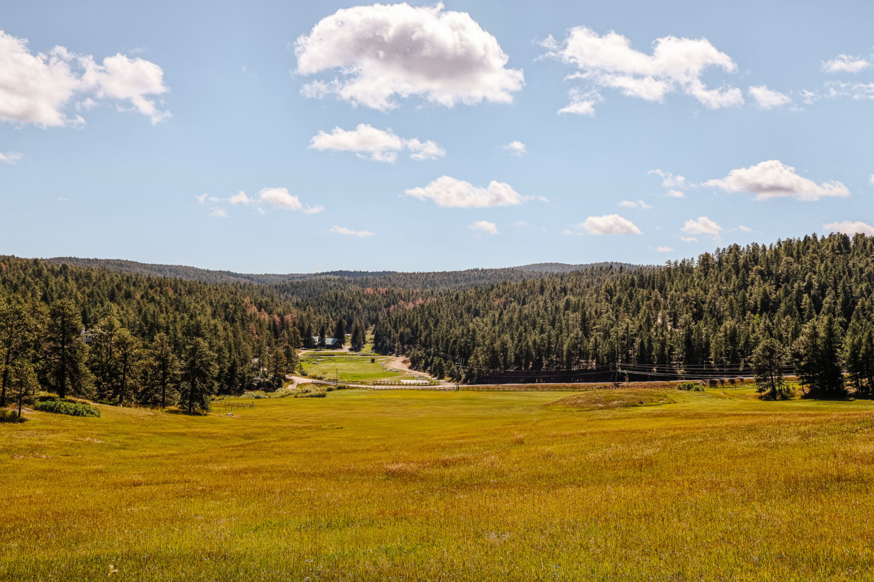 Liberty Ranch - photo 8