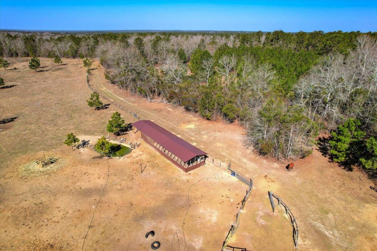 Beautiful 61-Acre Horse Property - photo 11