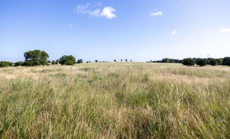 Property image.
