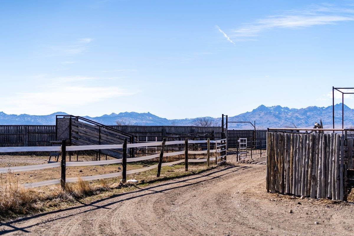 59.3AC, Irrigated Pasture, Indoor Arena, and Home - photo 31