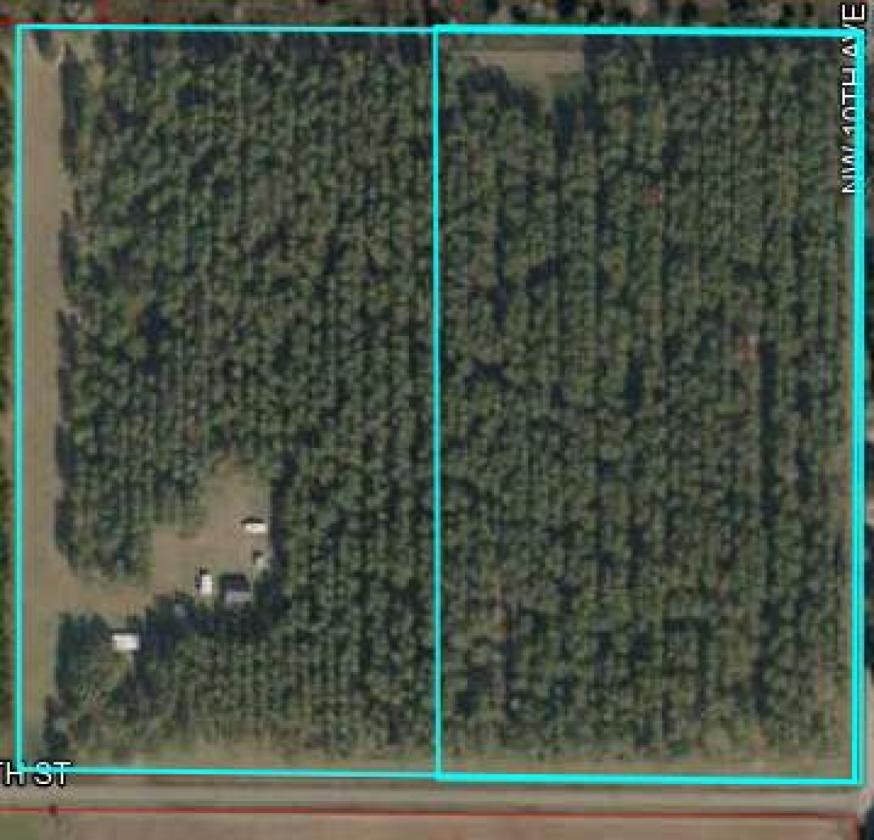 20 ACRE BEAUTIFULLY WOODED HOMESTEAD - photo 23