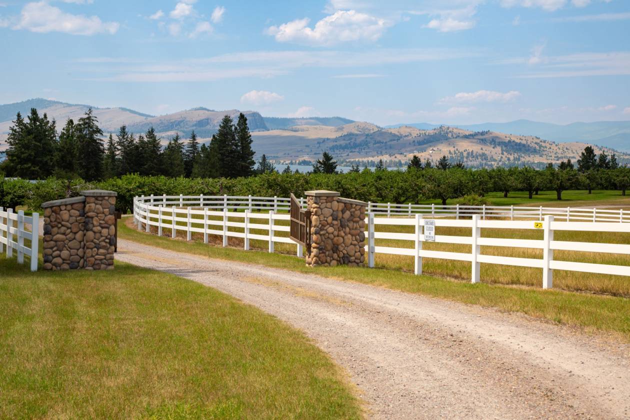 Amazing Equestrian and Orchard Property - photo 7