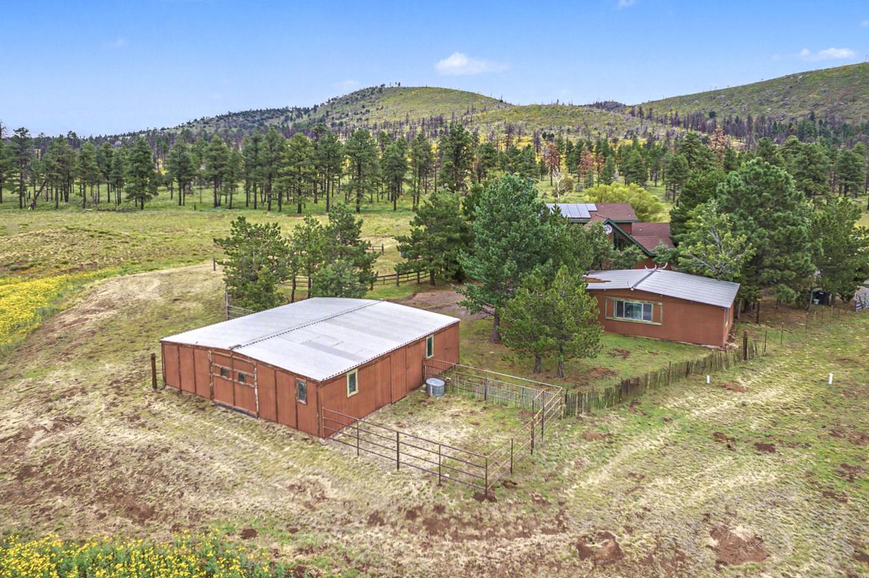 Horse Property on Nearly 4 Acres - photo 4