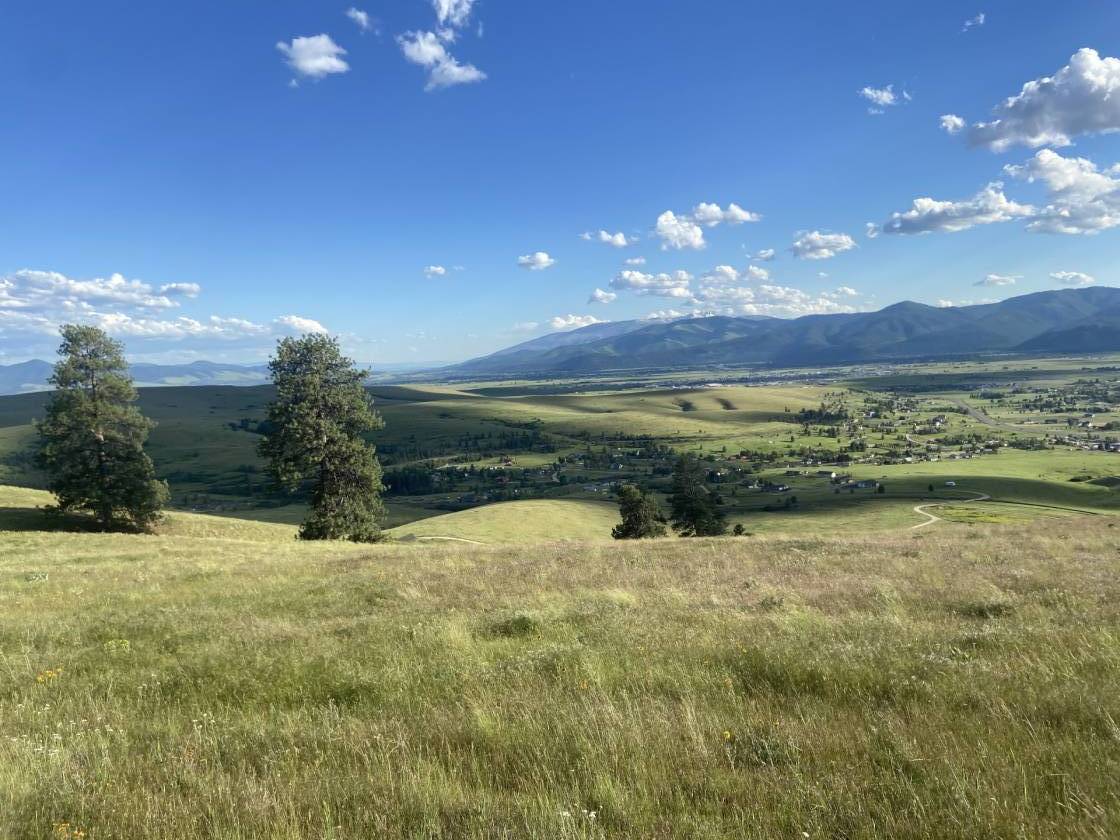 Horse Property for sale.