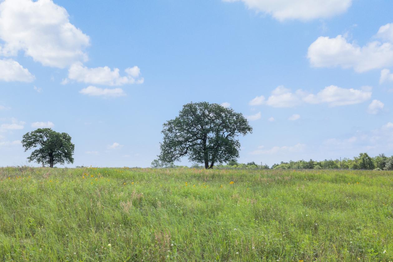 99 Unrestricted acres - photo 8