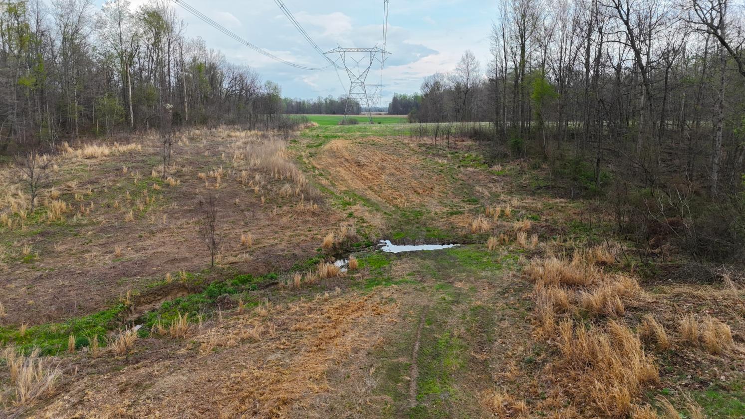 Excellent Acreage For Future Equestrian Property - photo 7