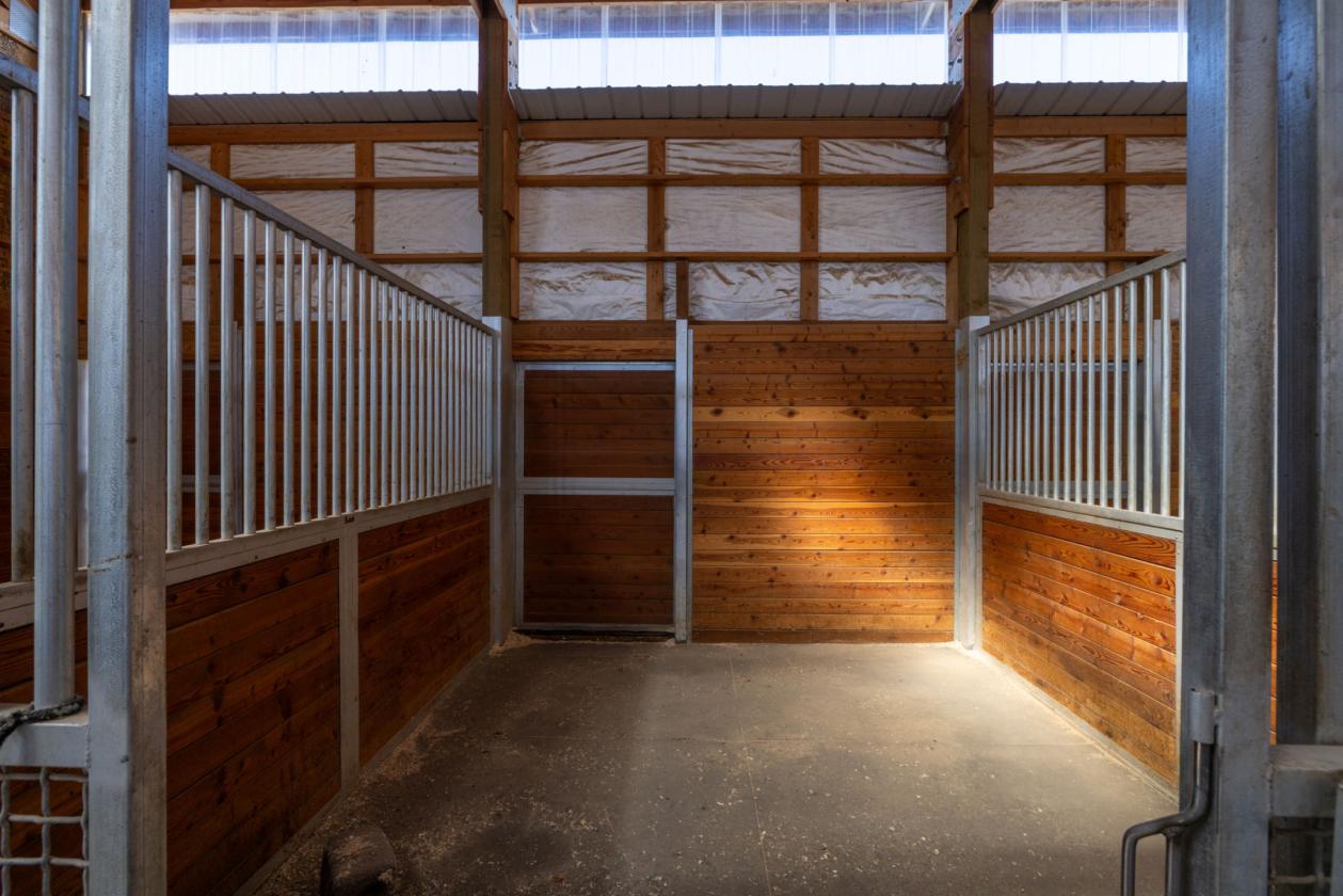 Commercial Horse Training Facility - photo 13