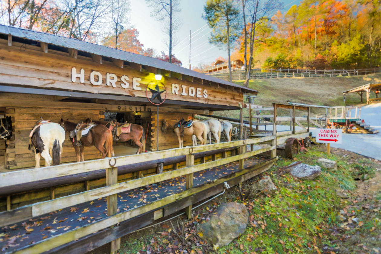 Horse Riding Stables on 35 amazing acres Zip Lines... Townsend