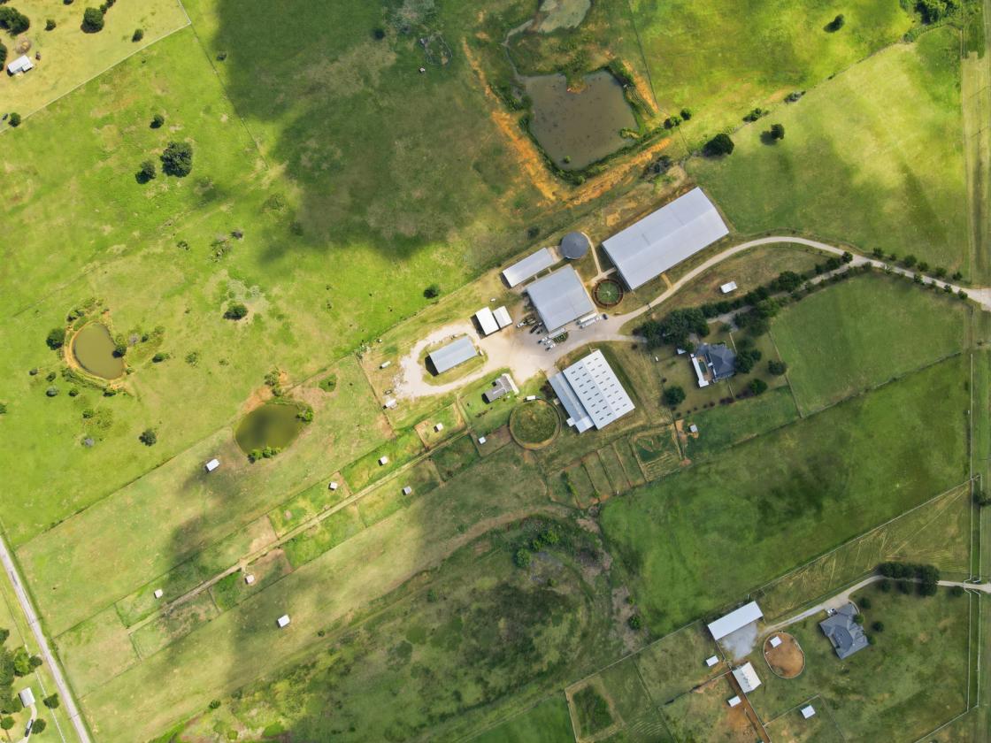 Exceptional Equestrian Estate w/ C-2 Potential! - photo 16