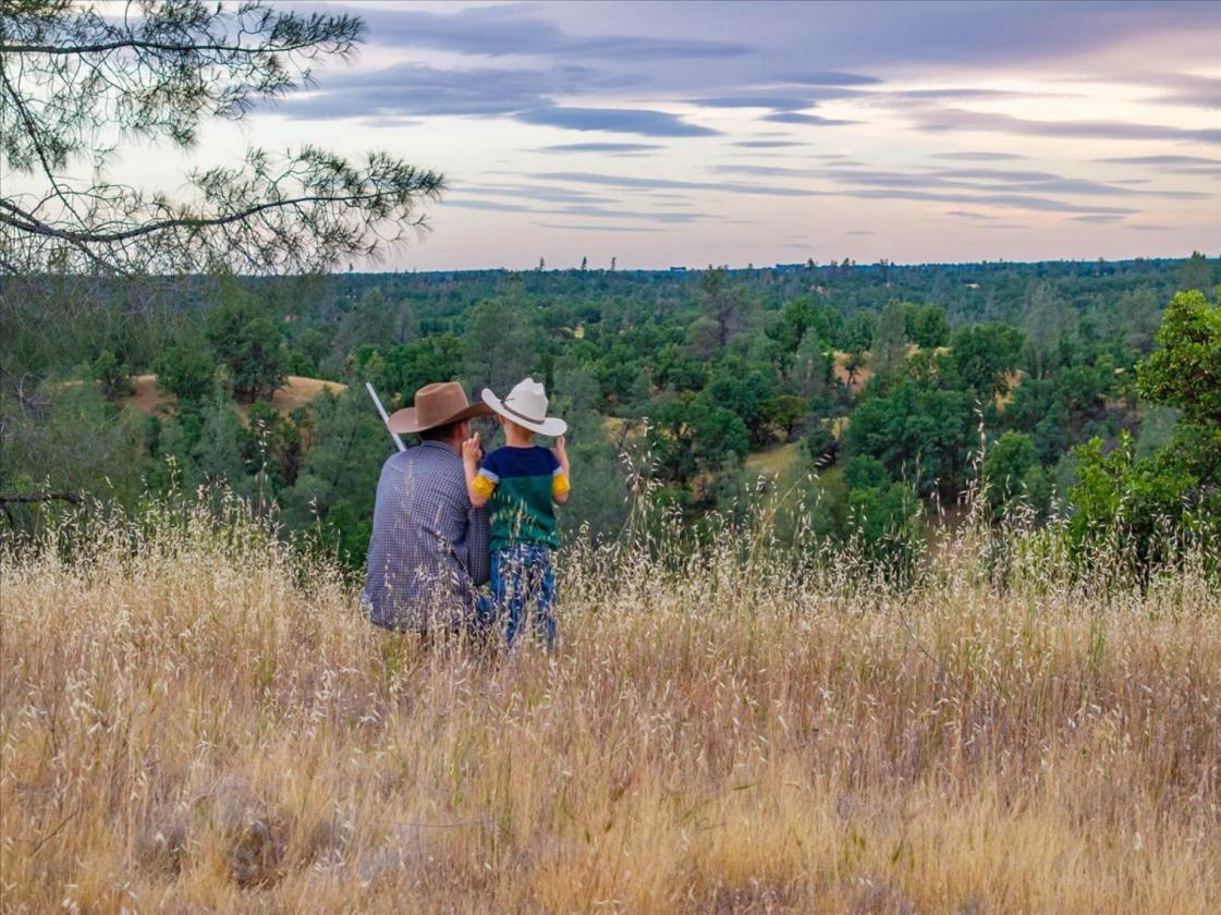 480 Acre Litte Crane Creek Ranch - photo 21