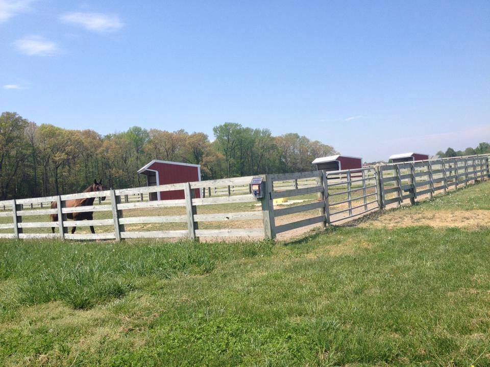 Sussex County 47 Acre Horse Farm with Wooded Trails and