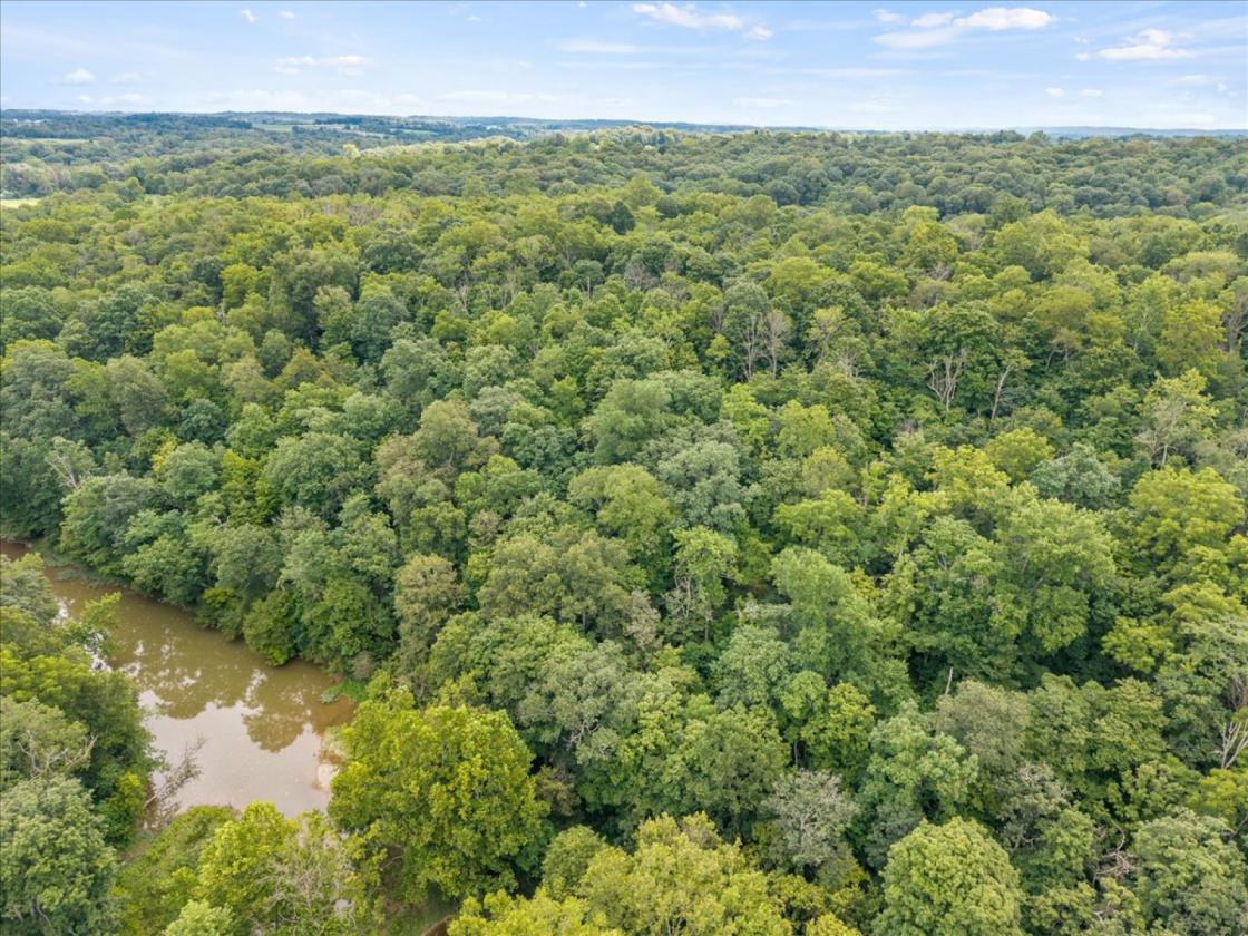 Over 173 acres for your equestrian dreams - photo 4