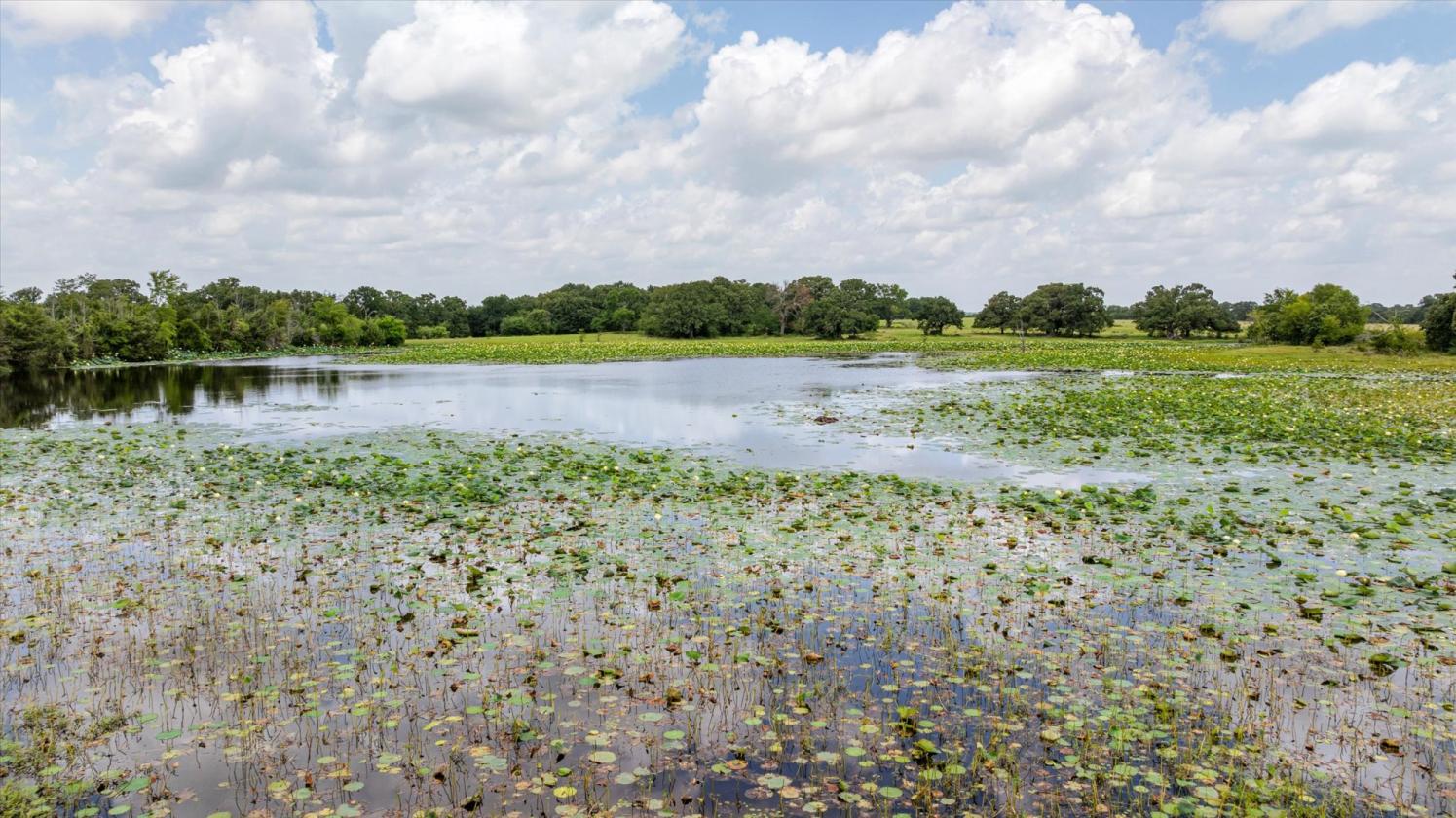 Exceptional Opportunity on 640 Acres - photo 23