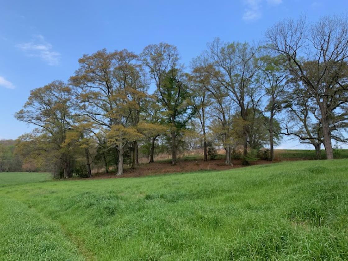 Madison County - Large Estate Farm - photo 20