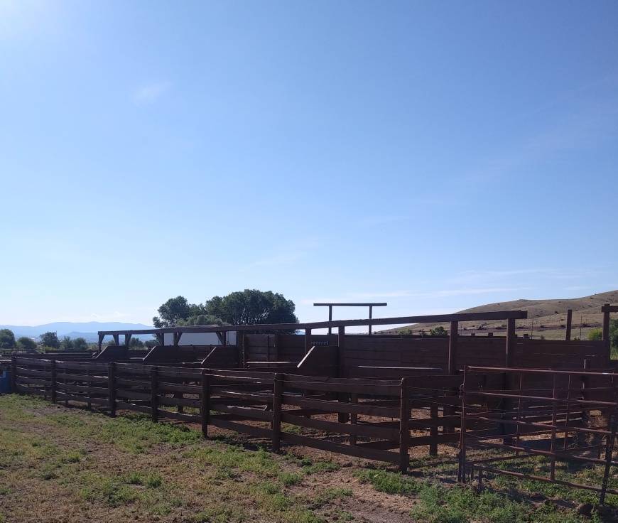Horse Property for sale Helena, Lewis and Clark County, Montana