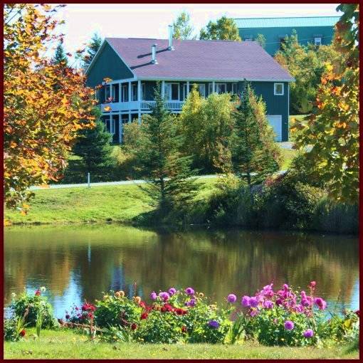 horse farm on lake with 4 houses and 2 barns New Horton, Albert