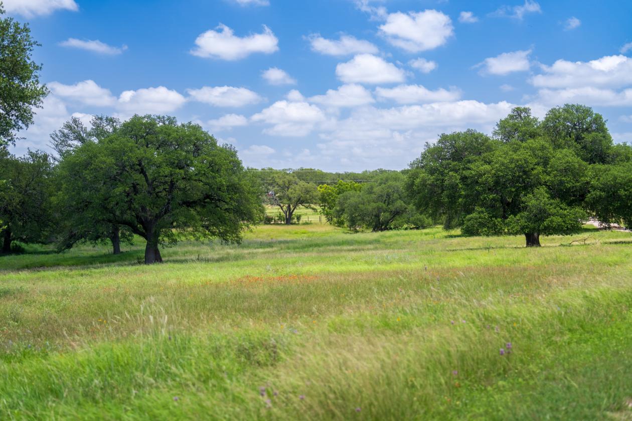 Equestrian Property On the Texas Wine Trail - photo 17