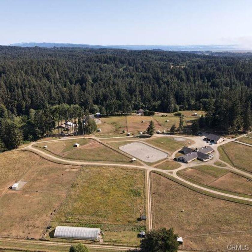 California Redwood Coast Income Horse Property - photo 11